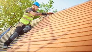 Best Slate Roofing  in Roma, TX