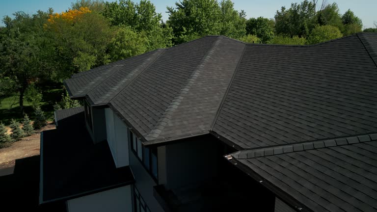 Best Solar Panel Roofing Installation  in Roma, TX