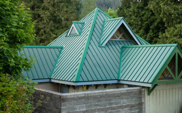 Trusted Roma, TX Roofing Service Experts