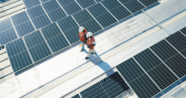 Best Slate Roofing  in Roma, TX
