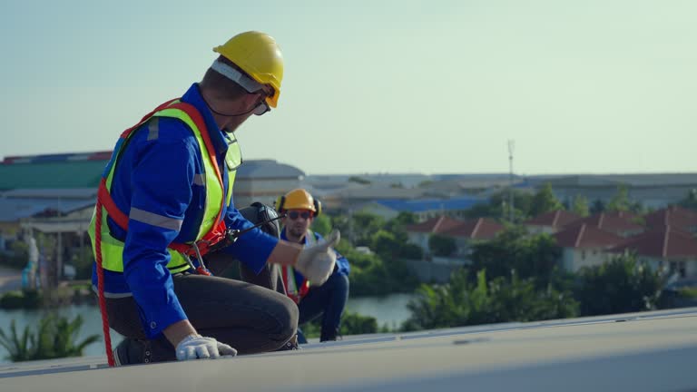 Best Roof Insulation Installation  in Roma, TX