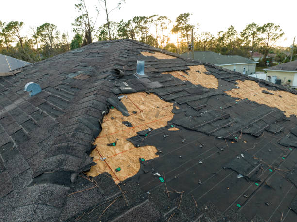 Best Roof Ventilation Installation  in Roma, TX