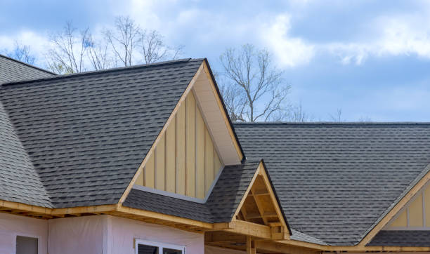 Best Storm Damage Roof Repair  in Roma, TX
