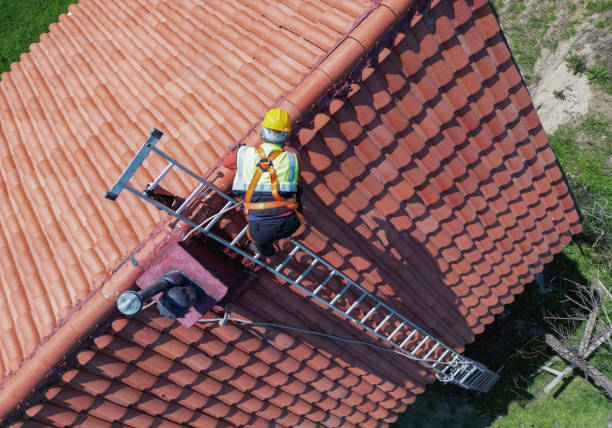 Best Roofing for New Construction  in Roma, TX