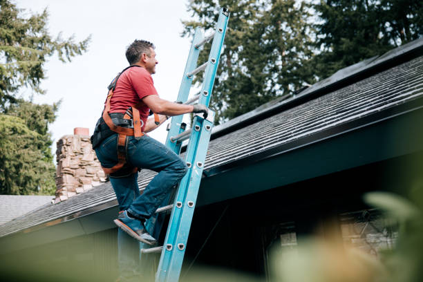  Roma, TX Roofing Service Pros