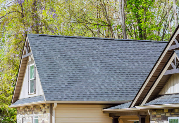 Best Roof Coating and Sealing  in Roma, TX