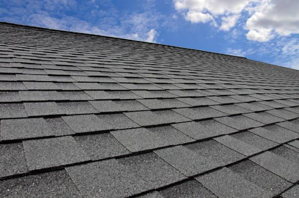 Best Roof Coating and Sealing  in Roma, TX