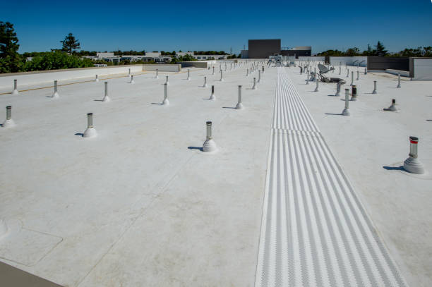 Best Roof Leak Repair  in Roma, TX