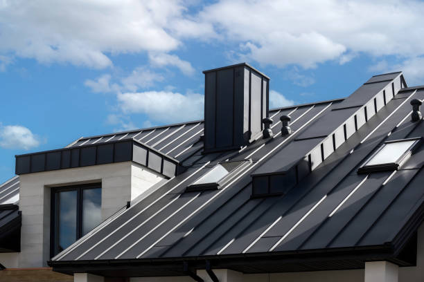 Best Roof Moss and Algae Removal  in Roma, TX